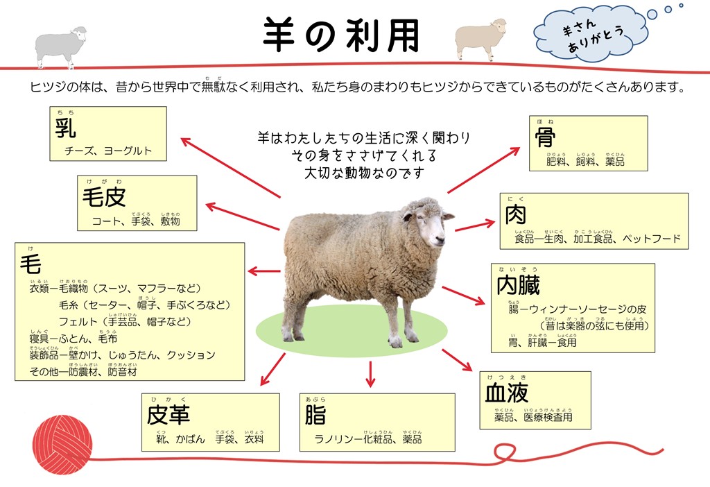 スタッフblog 神戸市立王子動物園