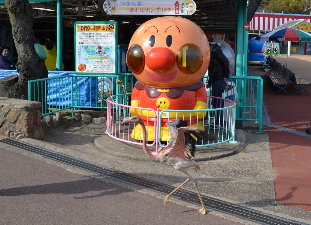 スタッフblog 神戸市立王子動物園